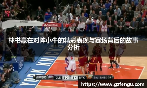林书豪在对阵小牛的精彩表现与赛场背后的故事分析
